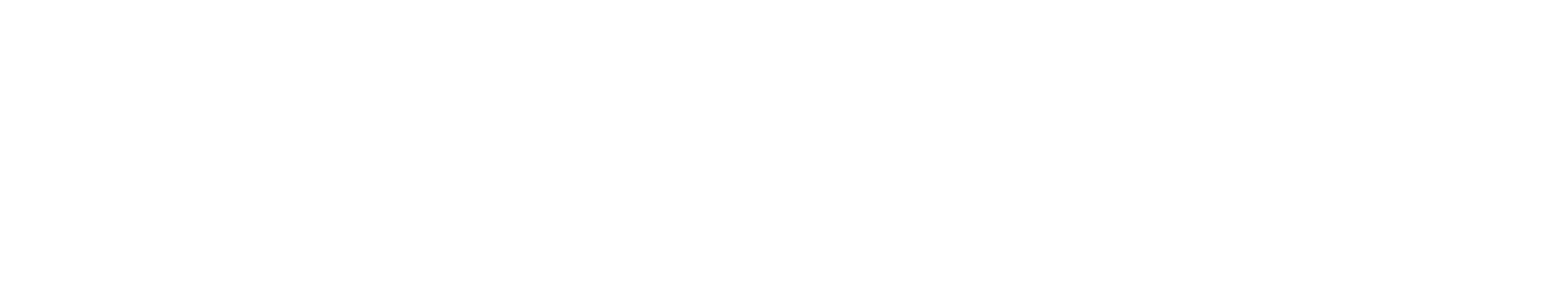 BMF_Logo_Augsburg_No_Text_White